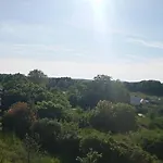 Stinjan Sunny